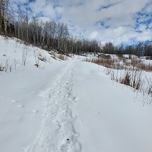 Hiking Travel